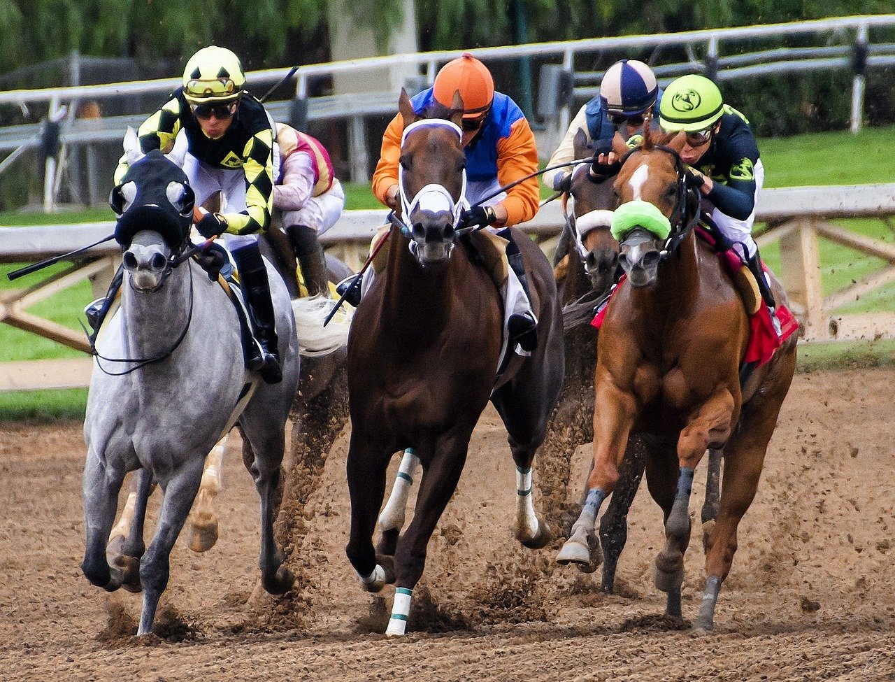 Vier Galopprennpferde mit Jockeys auf einer Sandbahn