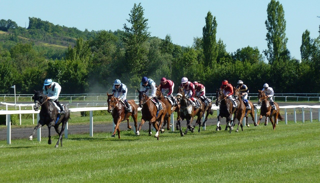 Galopprennen mit mehreren Pferden und Jockeys